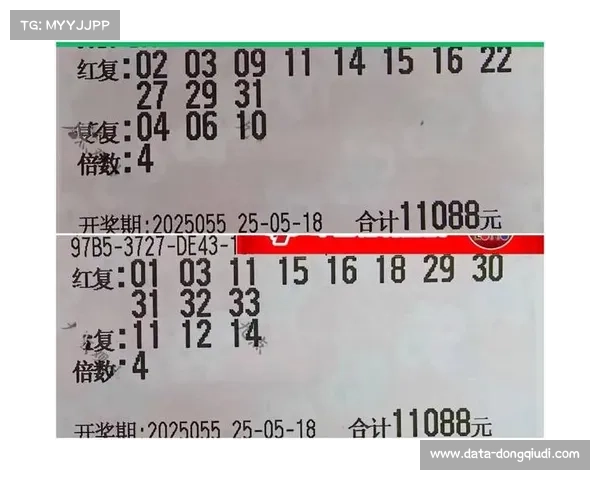 专家建议理性投注，彩民需科学管理风险避免误区